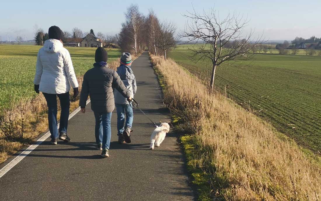 Mit dem Bolonka Zwetna Spazierengehen und öffentliche Verkehrsmittel