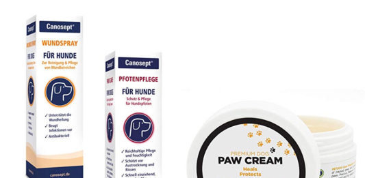 Pfotenbalsam für Bolonka Hunde